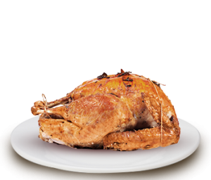 Fried chicken PNG-14079